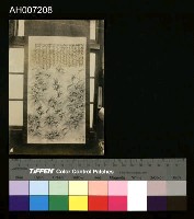 藏品(日治時期黑白相片)的圖片